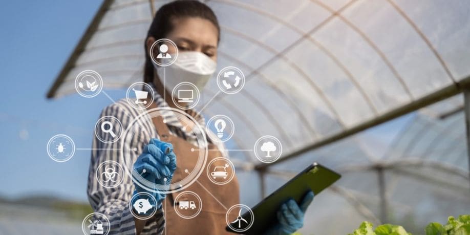 Imagen del artículo El impacto de la inteligencia artificial en la producción alimentaria